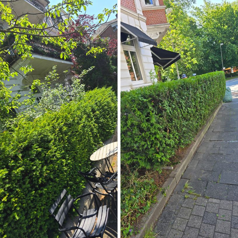 Gartenpflege – Referenzfoto 6 von 16